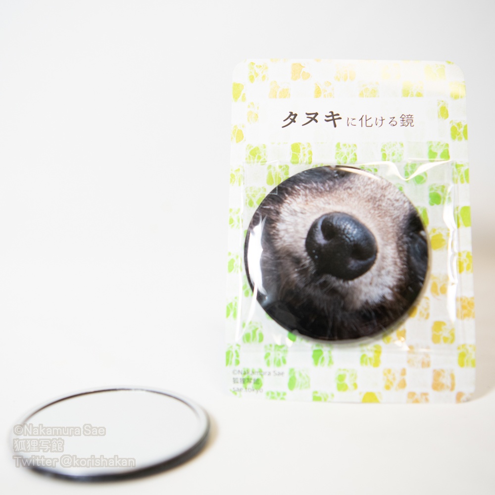 ○○に化ける鏡