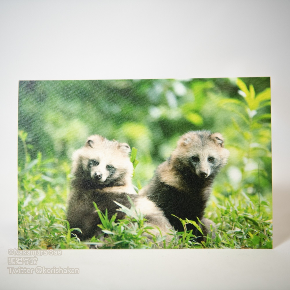 ポストカード(2020年11月新作)