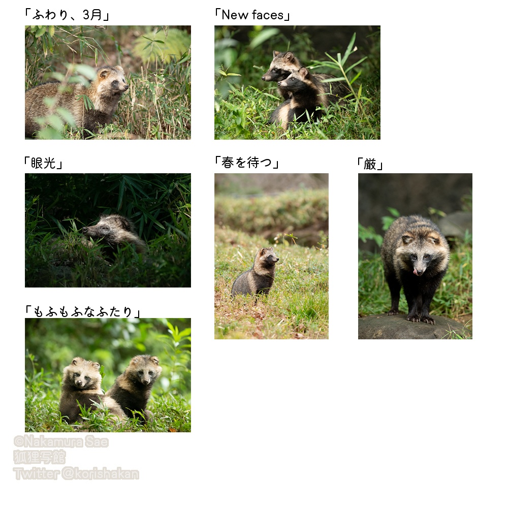 ポストカード(2020年11月新作)