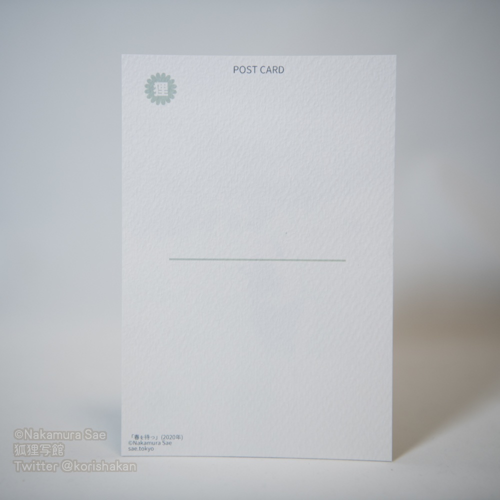 ポストカード(2020年11月新作)
