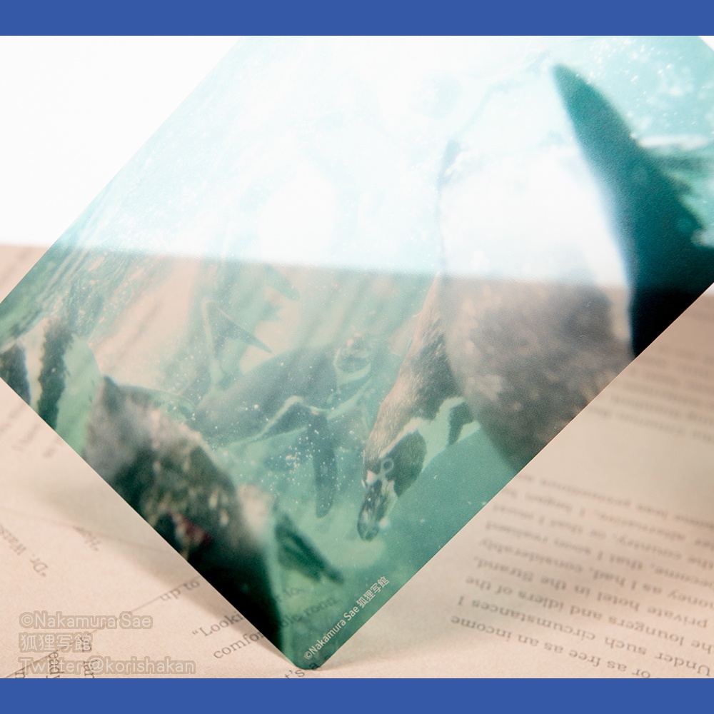 クリアポストカード