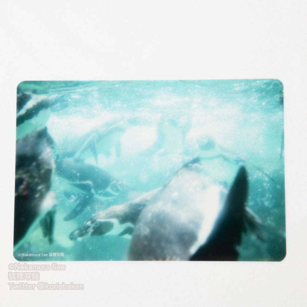 クリアポストカード