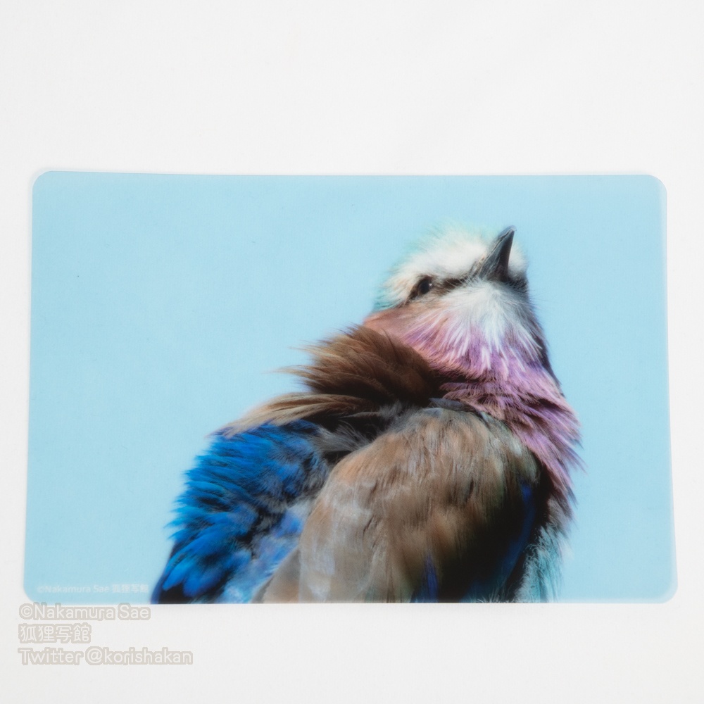 クリアポストカード