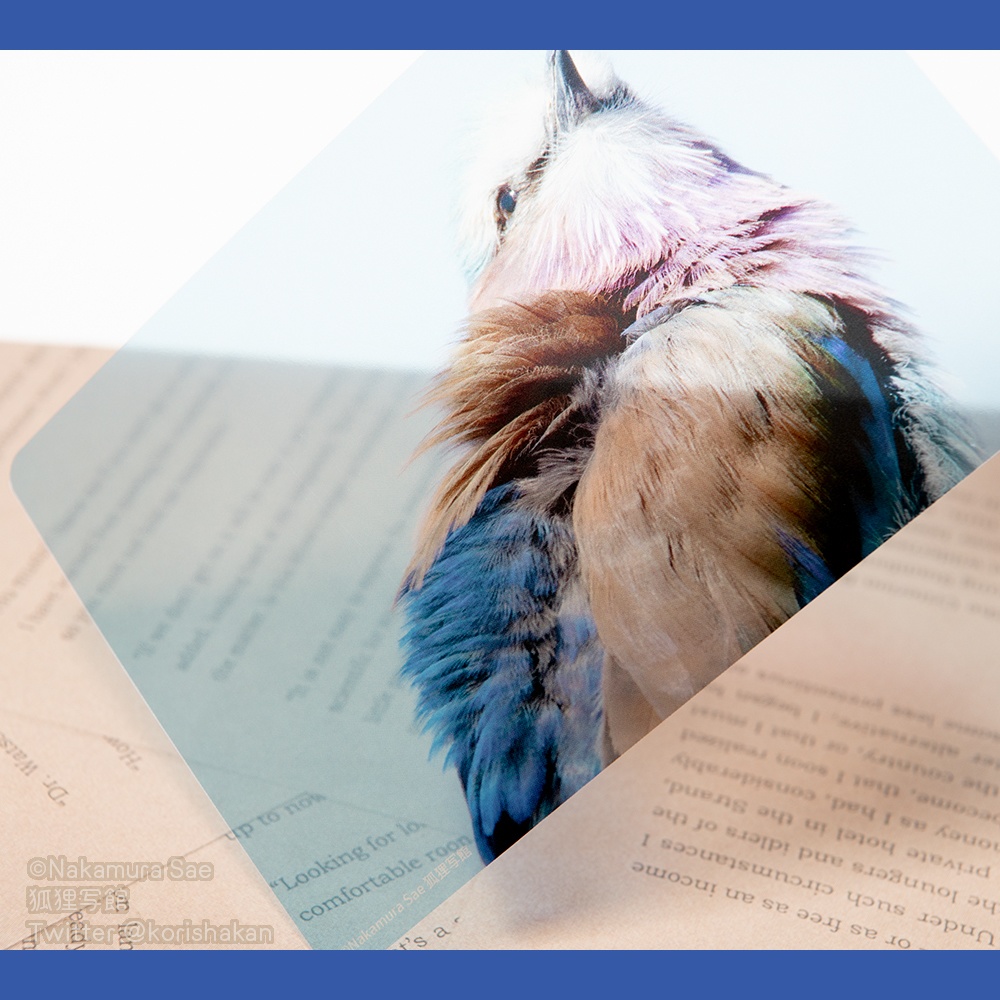 クリアポストカード