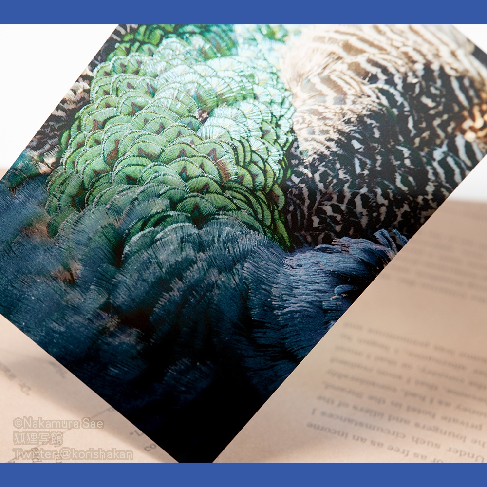 クリアポストカード