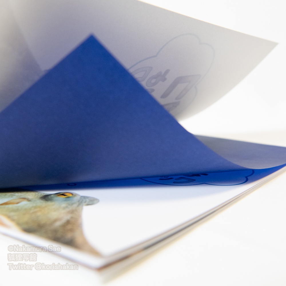 【アウトレット販売】マダコ(タコ)写真集「マダコかわいいよブック」