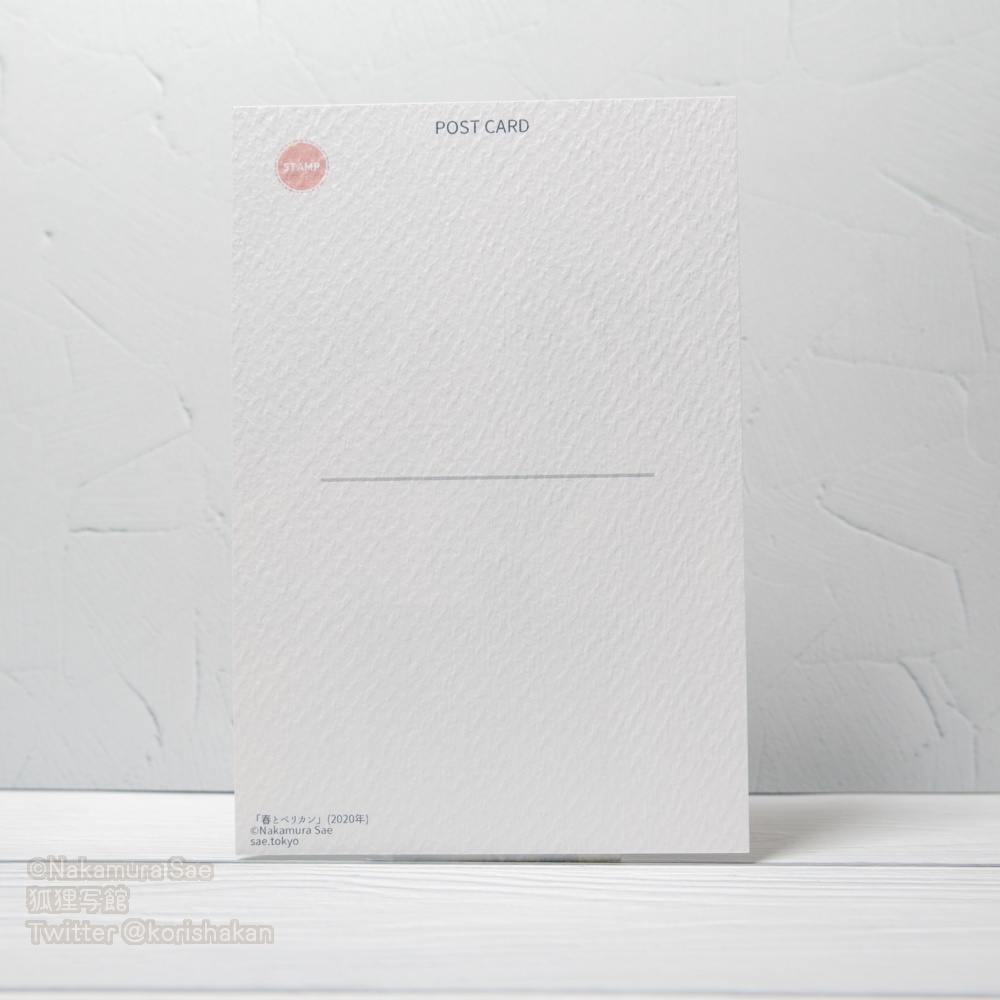 動物写真ポストカード