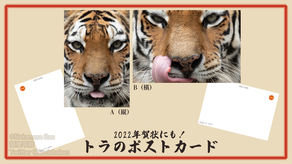 トラのポストカード（2022年・年賀状向け）