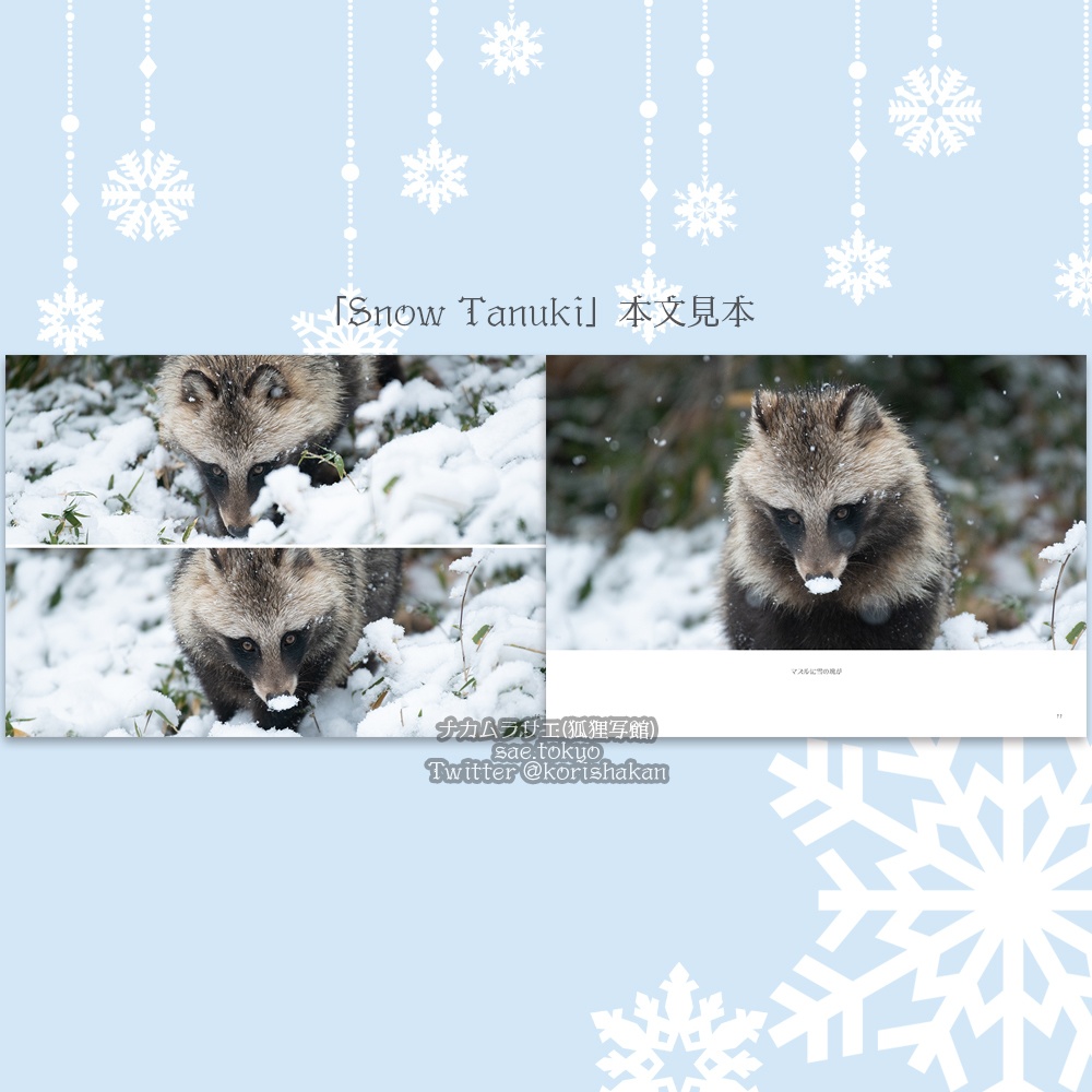 ホンドタヌキ写真集「Snow Tanuki」
