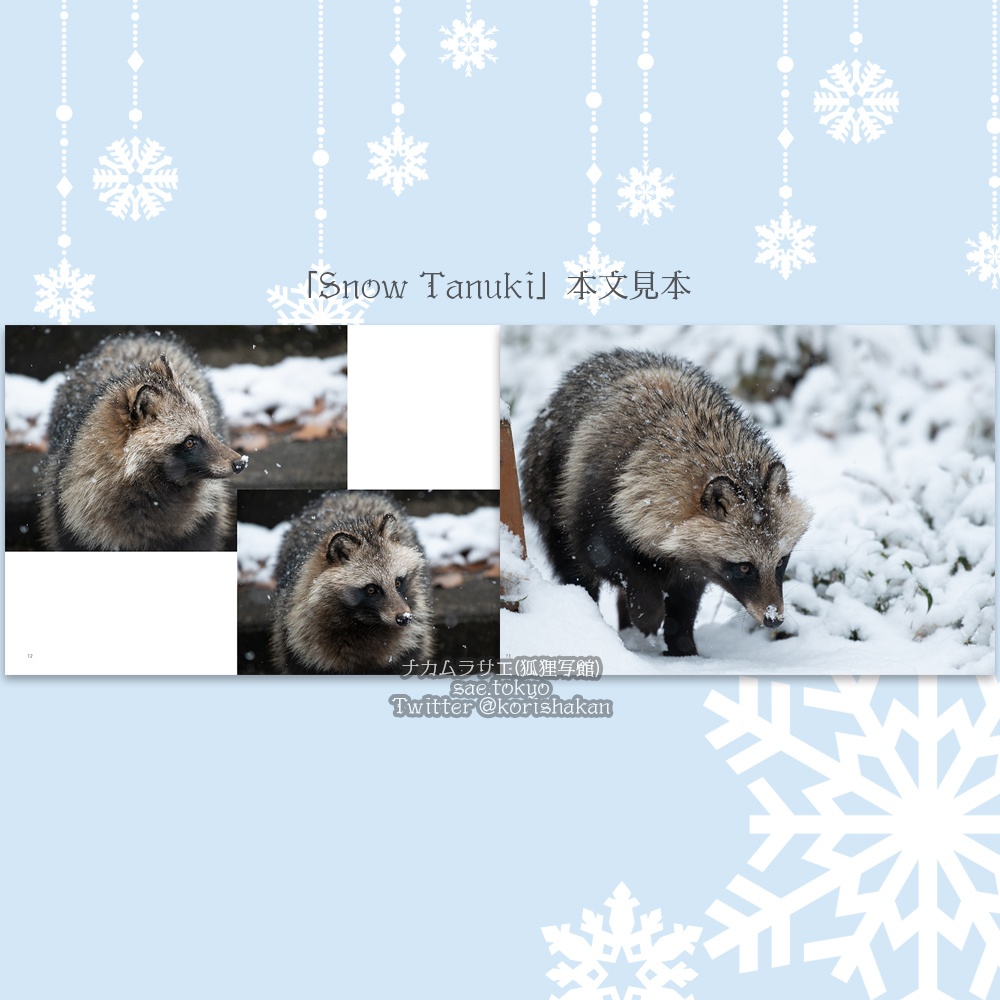 ホンドタヌキ写真集「Snow Tanuki」