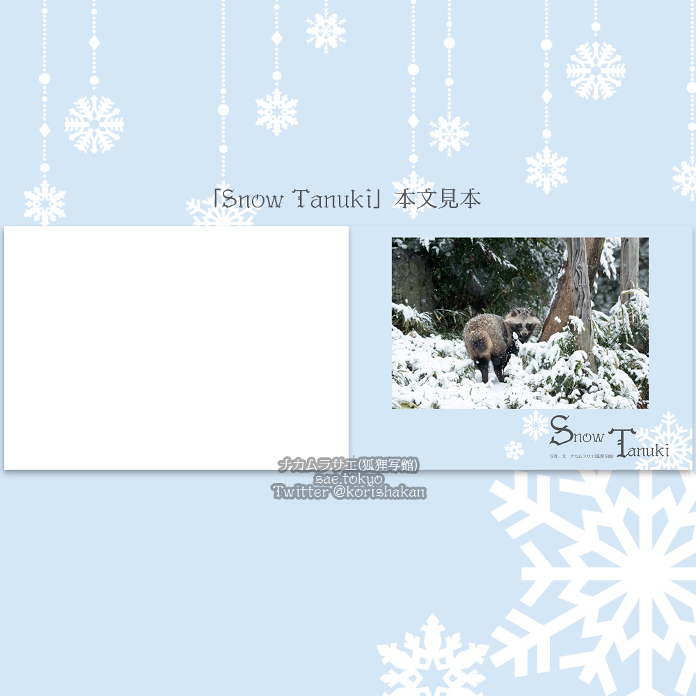 ホンドタヌキ写真集「Snow Tanuki」