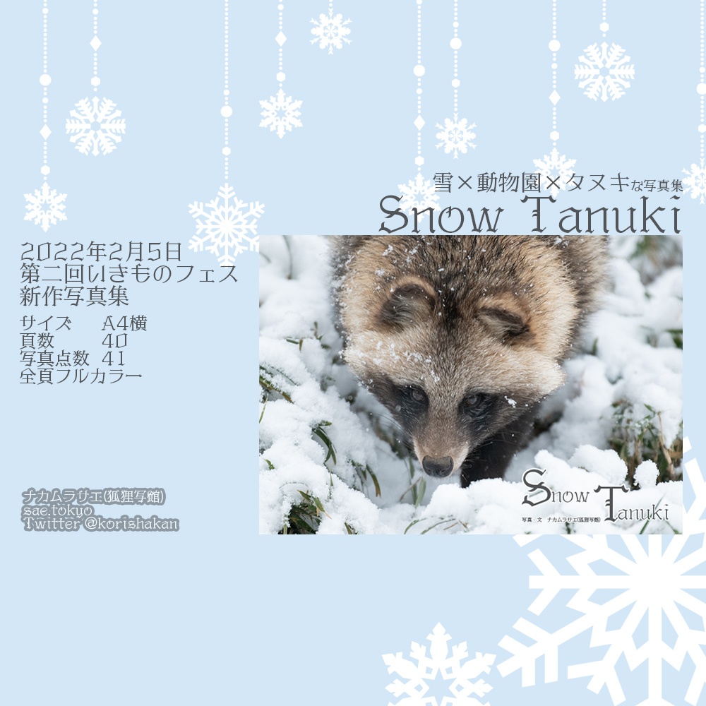 ホンドタヌキ写真集「Snow Tanuki」