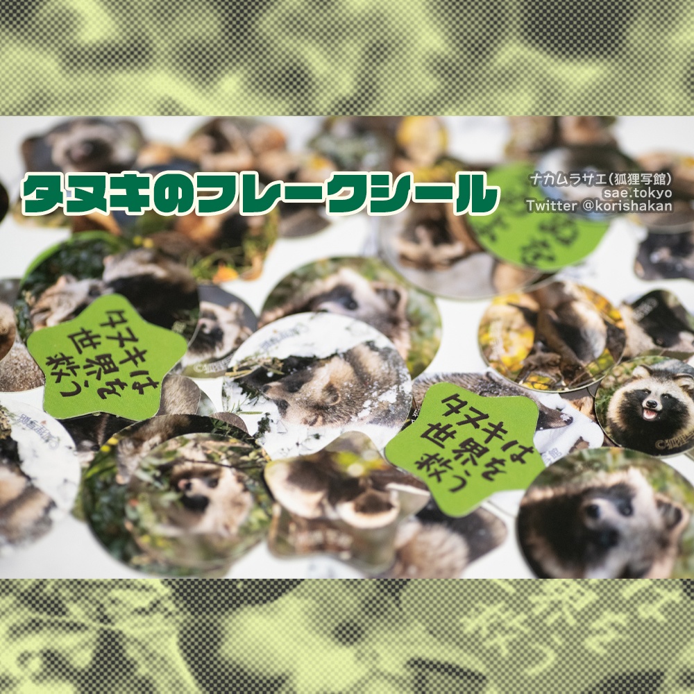 ホンドタヌキのフレークシール（2種）