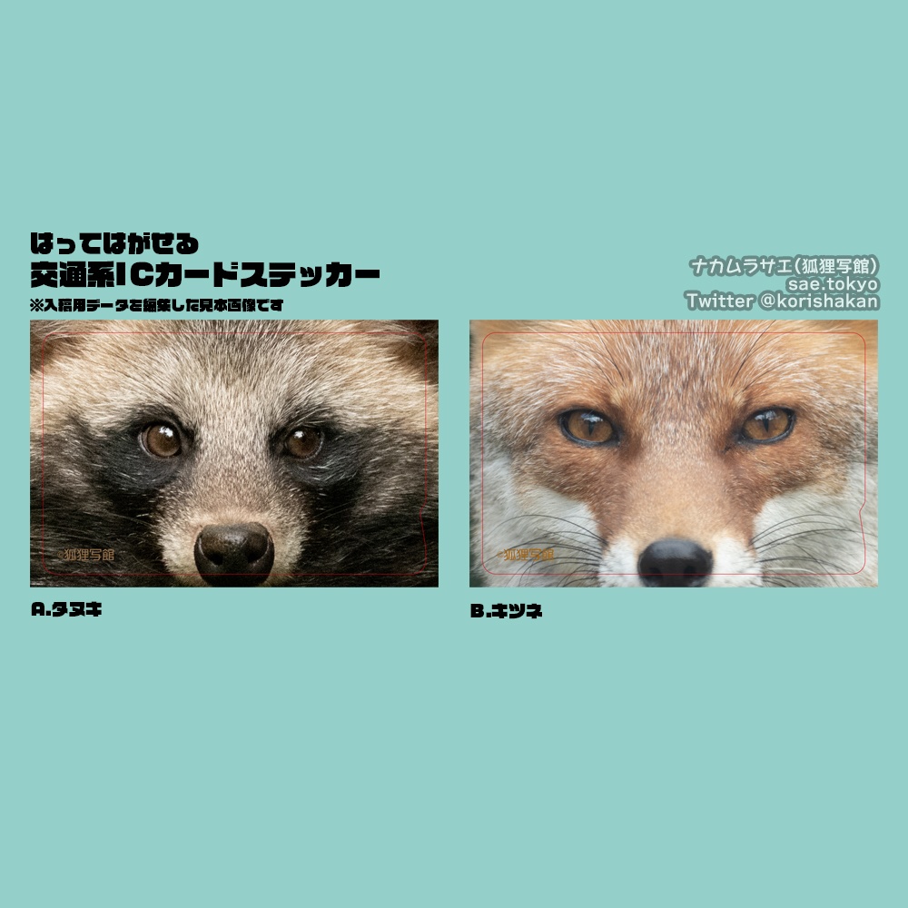 交通系ICカードステッカー「おかお」（タヌキ・キツネ）