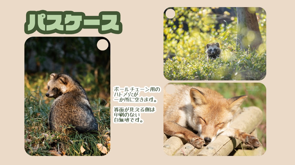動物写真パスケース