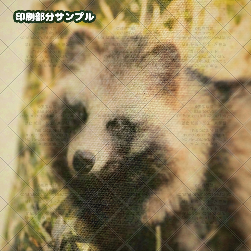 エゾタヌキのトートバッグ