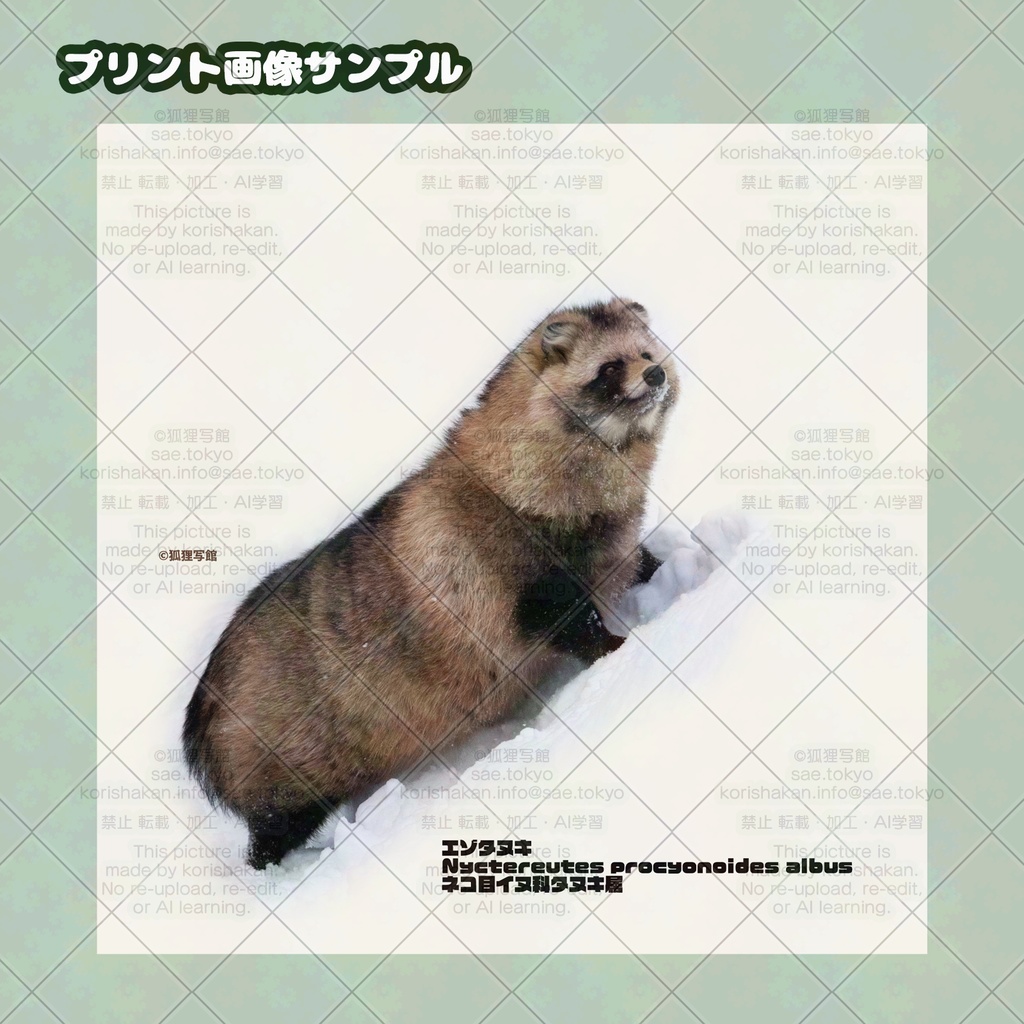 エゾタヌキのトートバッグ