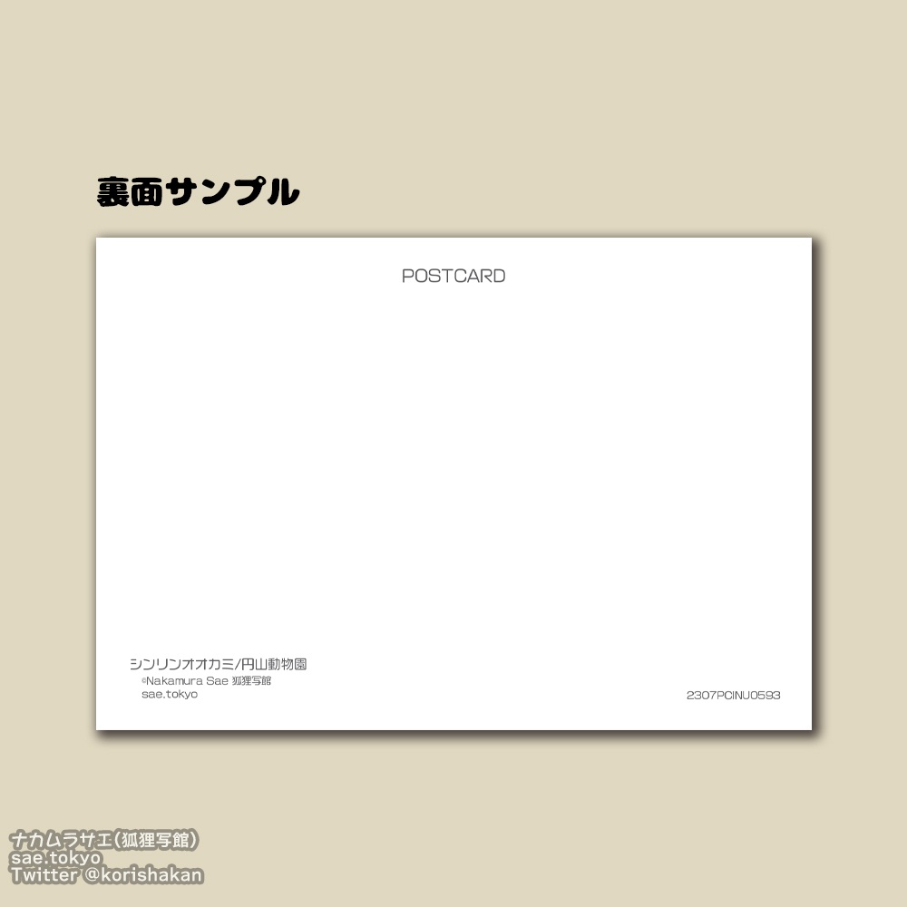 円山動物園の動物写真ポストカード(2023年7月)