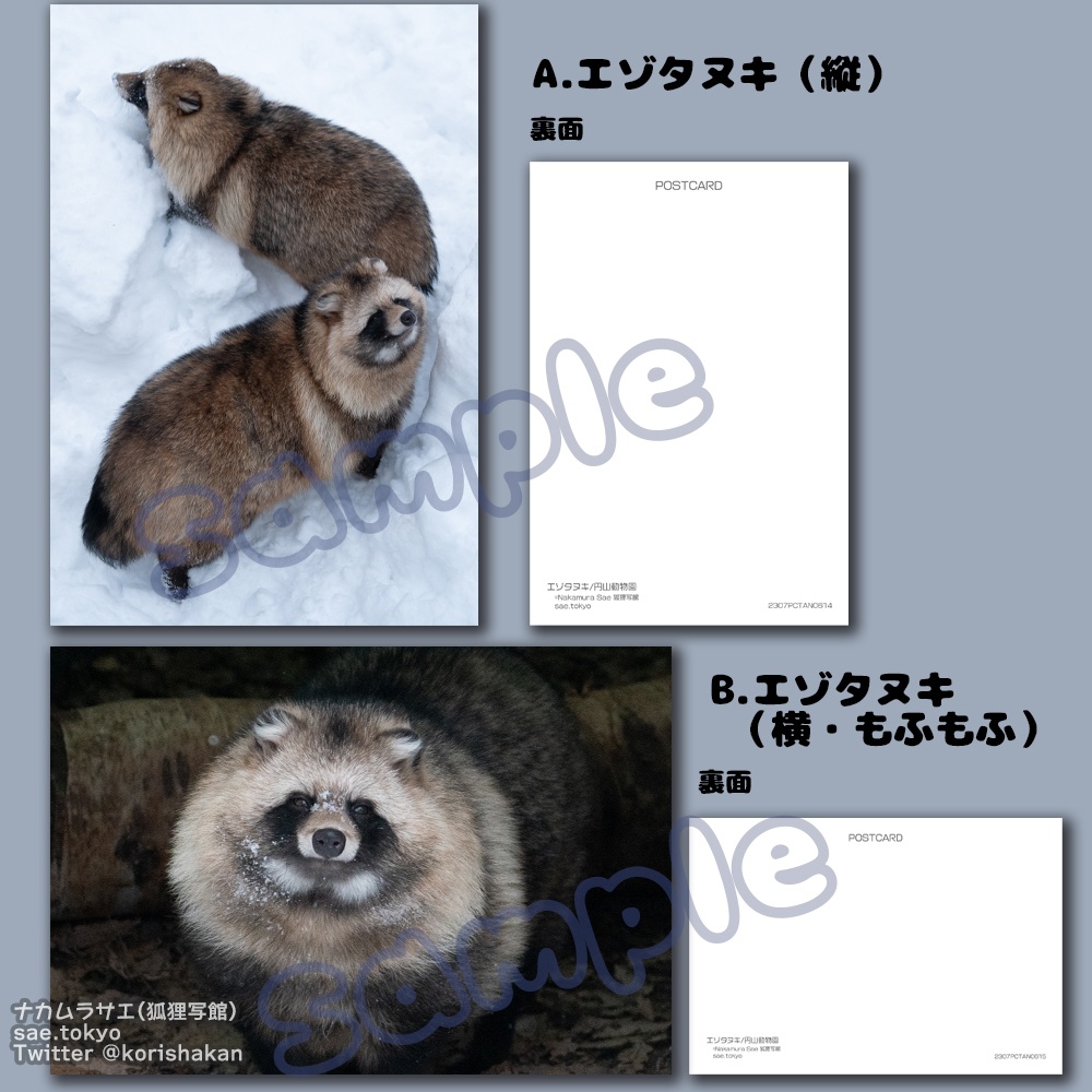 円山動物園の動物写真ポストカード(2023年7月・博物ふぇすてぃばる!)