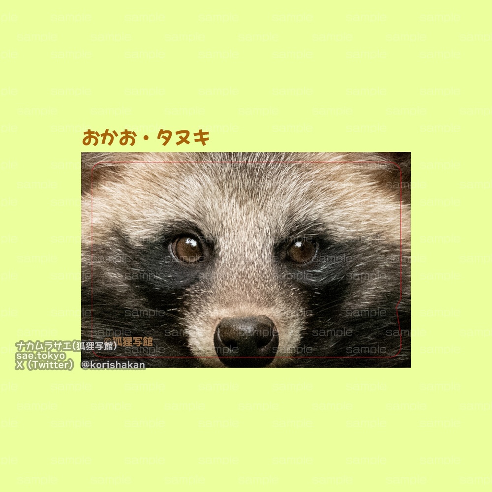 交通系ICカードステッカー「おかお」(タヌキ・キツネ・オオカミ)