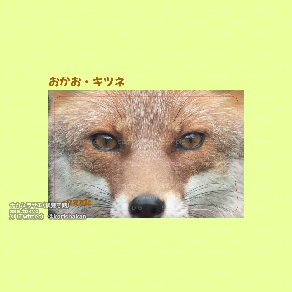 交通系ICカードステッカー「おかお」(タヌキ・キツネ・オオカミ)