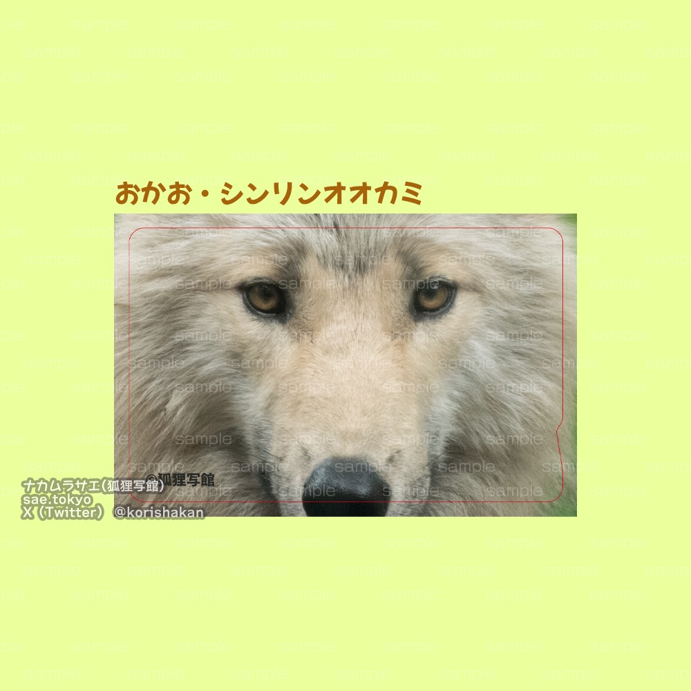 交通系ICカードステッカー「おかお」（タヌキ・キツネ・オオカミ