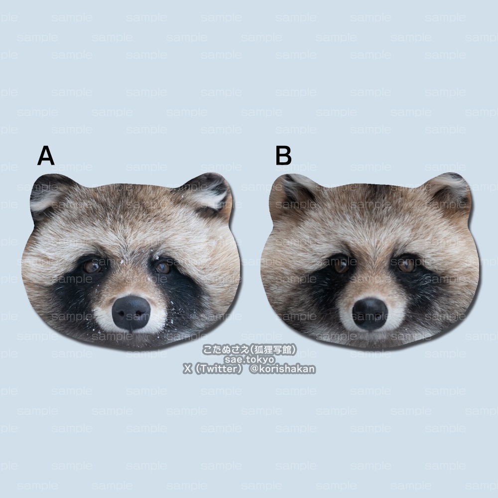 エゾタヌキのおかお缶バッジ