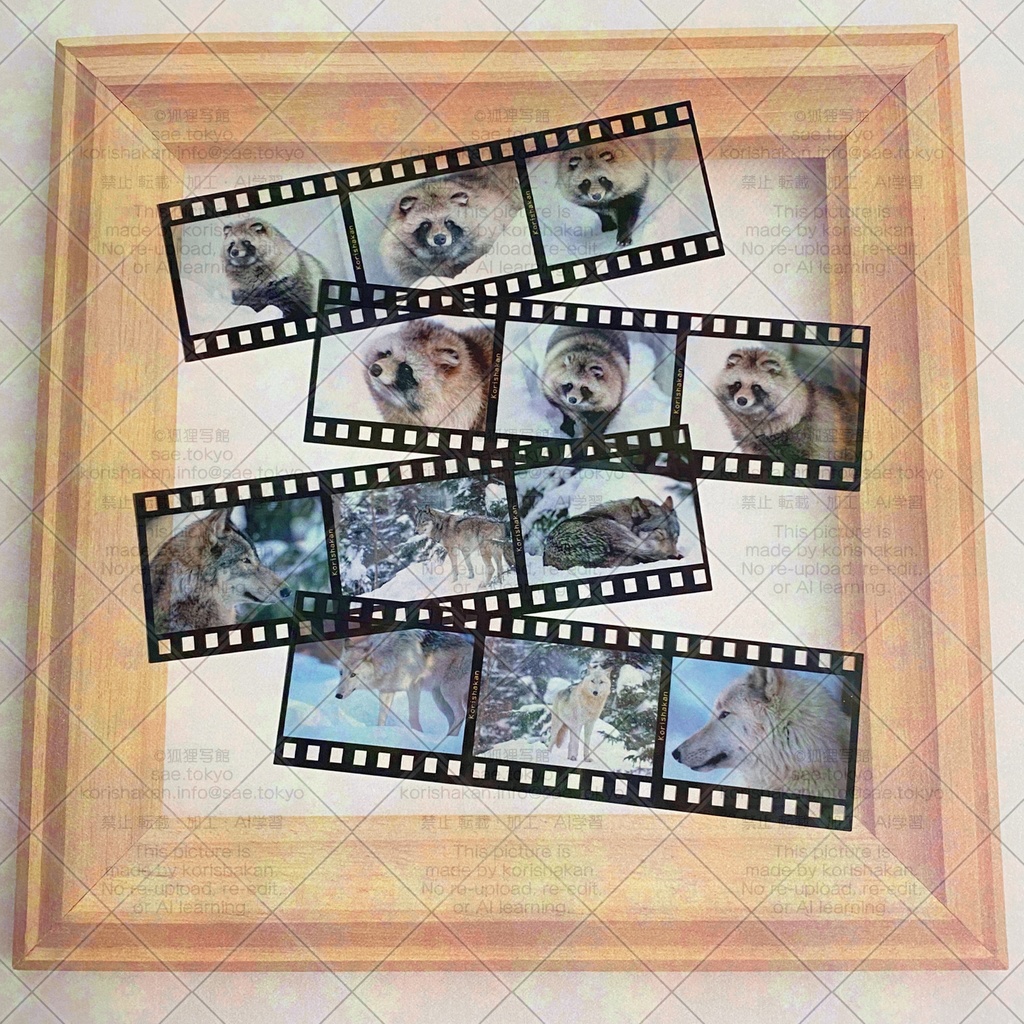 フィルム風クリアしおり