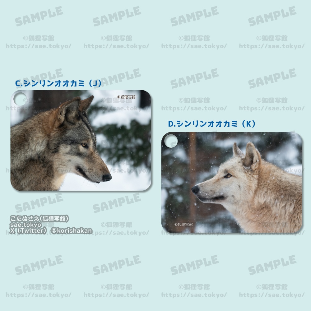 動物写真パスケース(2024年7月博物ふぇすてぃばる!10)