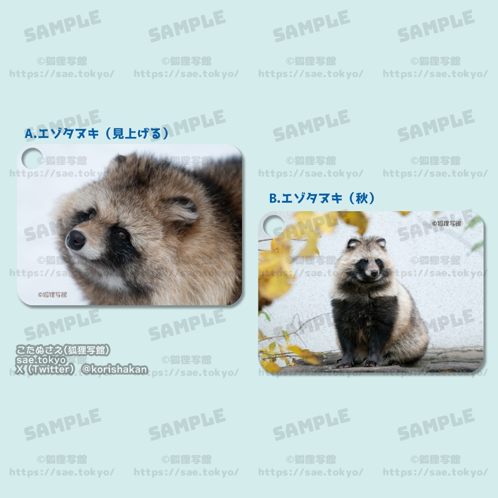 動物写真パスケース(2024年7月博物ふぇすてぃばる!10)