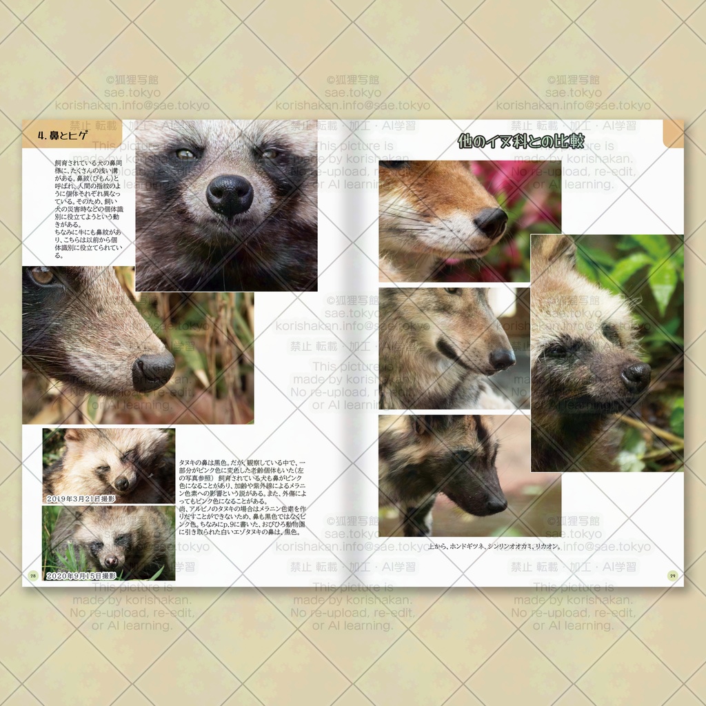 みんながつくったタヌキが見たい! タヌキ写真資料集