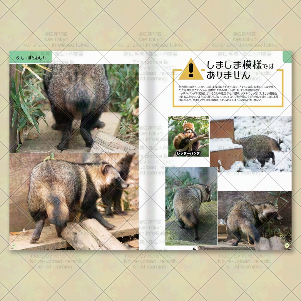 みんながつくったタヌキが見たい! タヌキ写真資料集