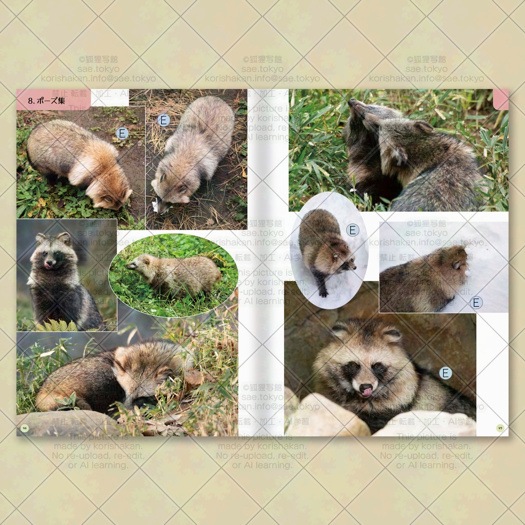 みんながつくったタヌキが見たい! タヌキ写真資料集