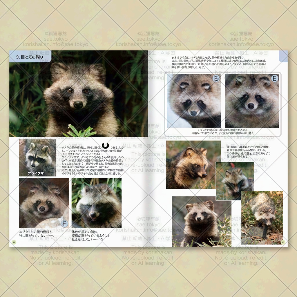 みんながつくったタヌキが見たい! タヌキ写真資料集