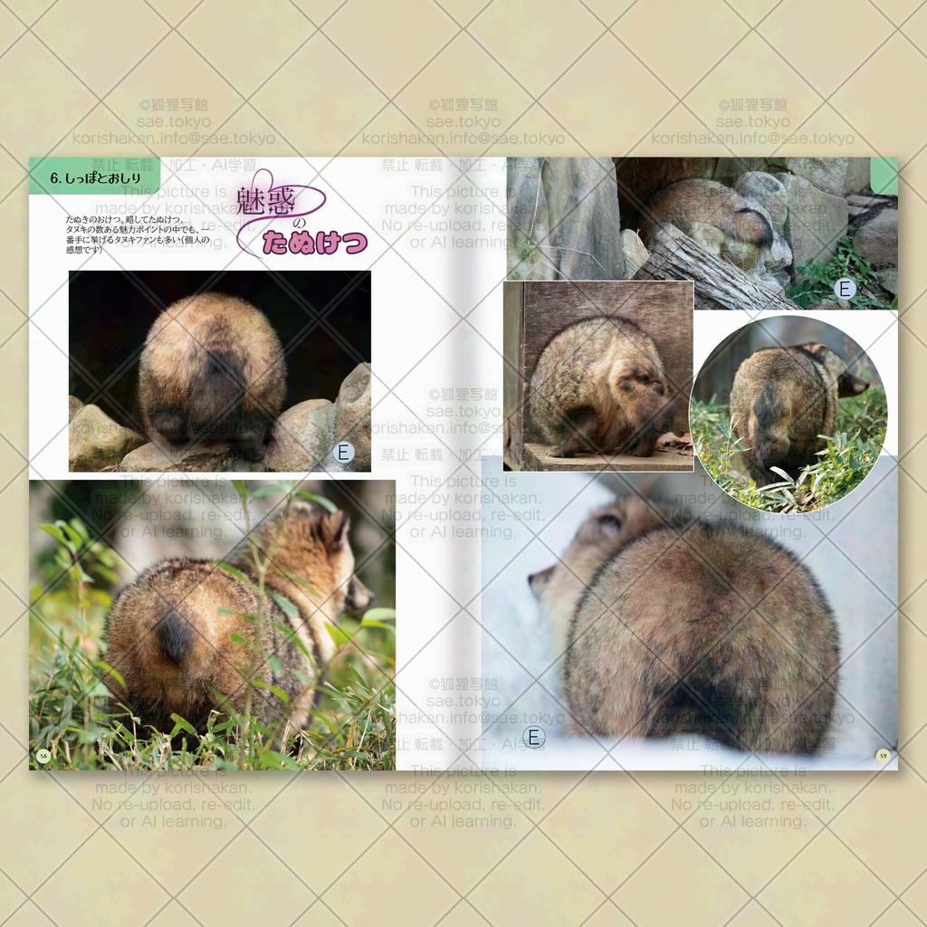 みんながつくったタヌキが見たい! タヌキ写真資料集