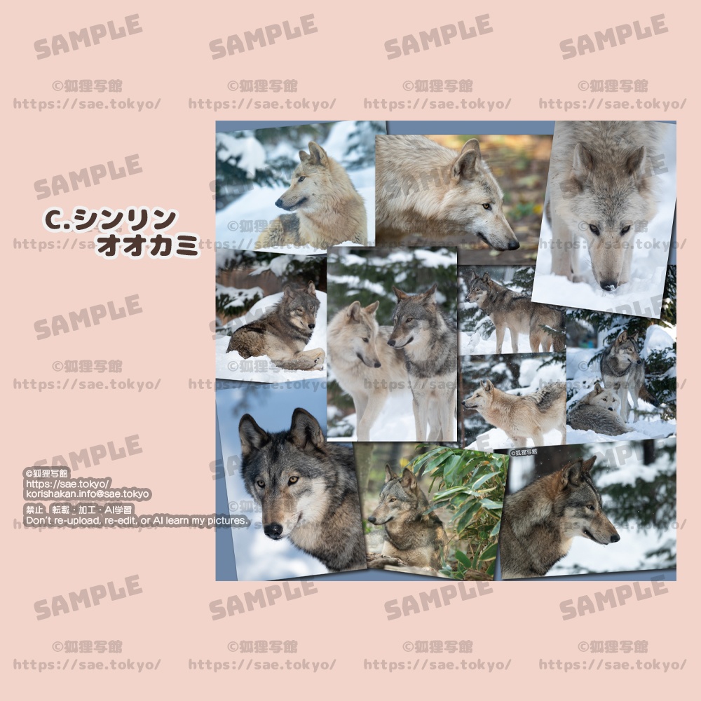 くっつくタオル(タヌキ・オオカミ)