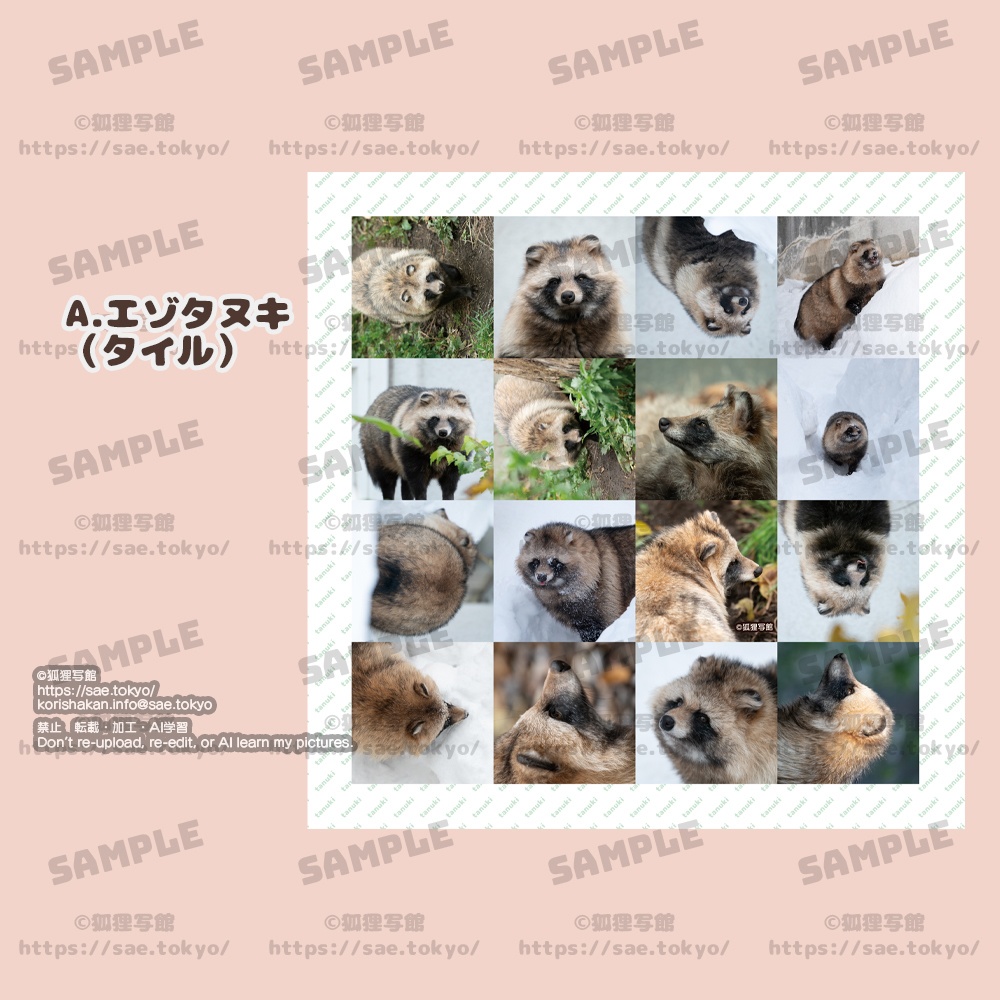 くっつくタオル(タヌキ・オオカミ)