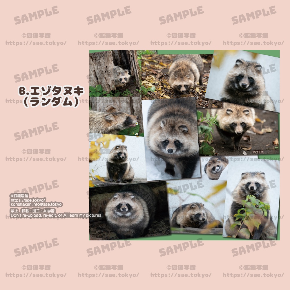 くっつくタオル(タヌキ・オオカミ)