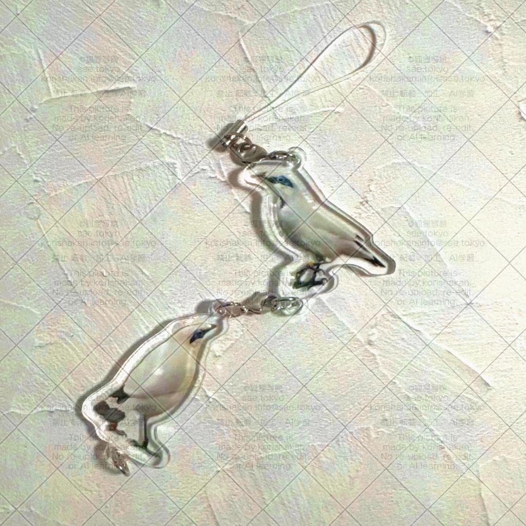 カンムリシロムクのつながるアクリルストラップ