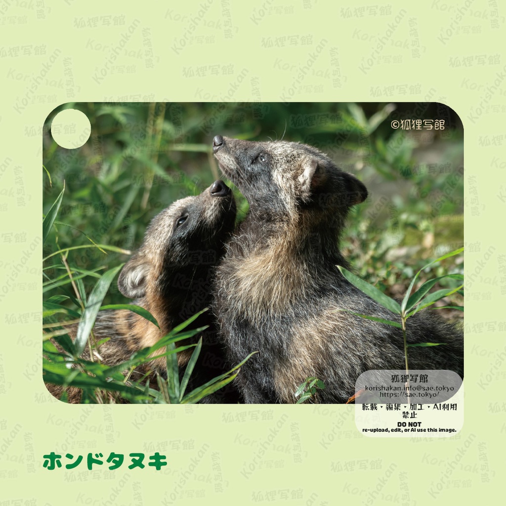 動物写真パスケース(2024年ズーラシアフェス)