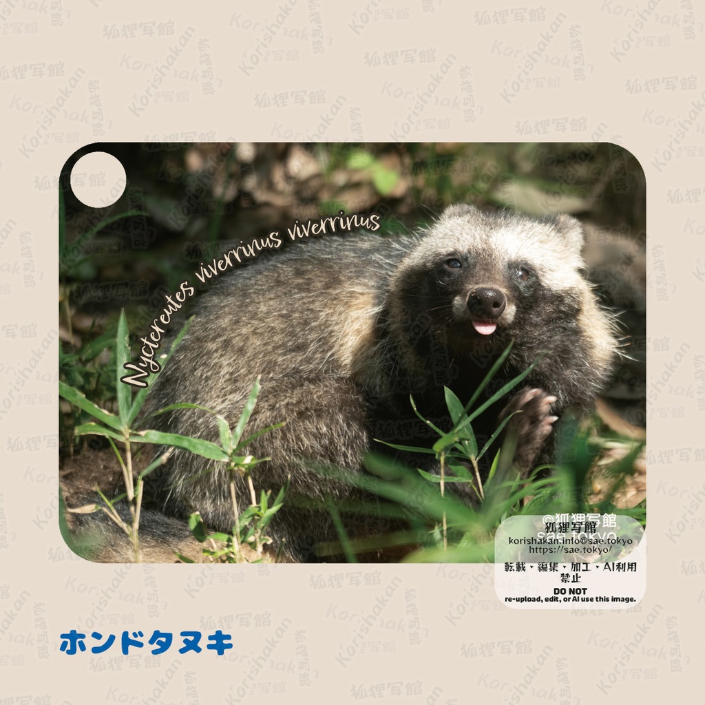 動物写真パスケース(2023年ズーラシアフェス)