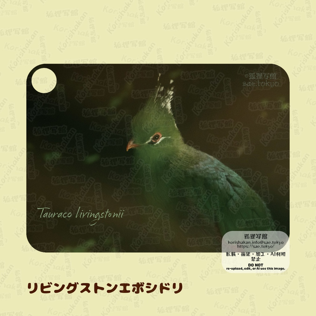 動物写真パスケース(2022年ズーラシアフェス)