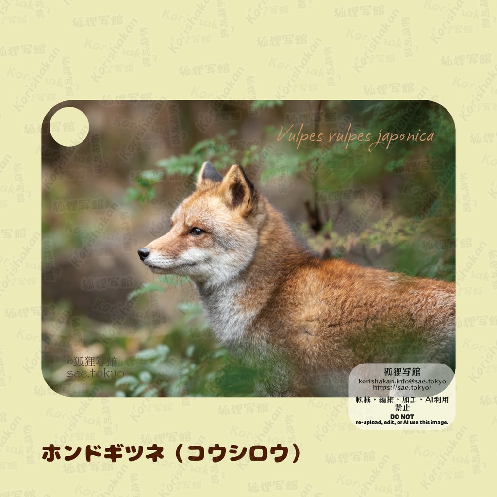 動物写真パスケース(2022年ズーラシアフェス)