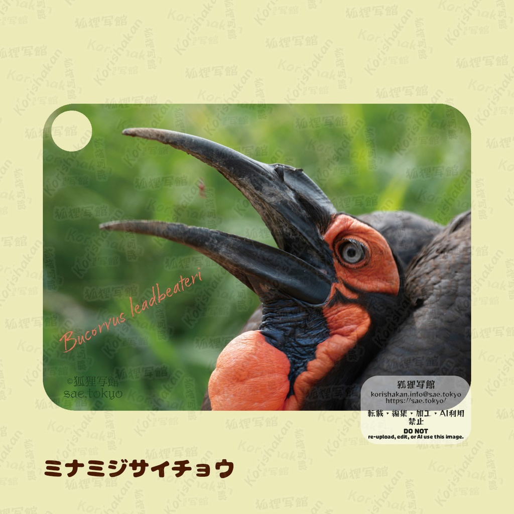 動物写真パスケース(2022年ズーラシアフェス)