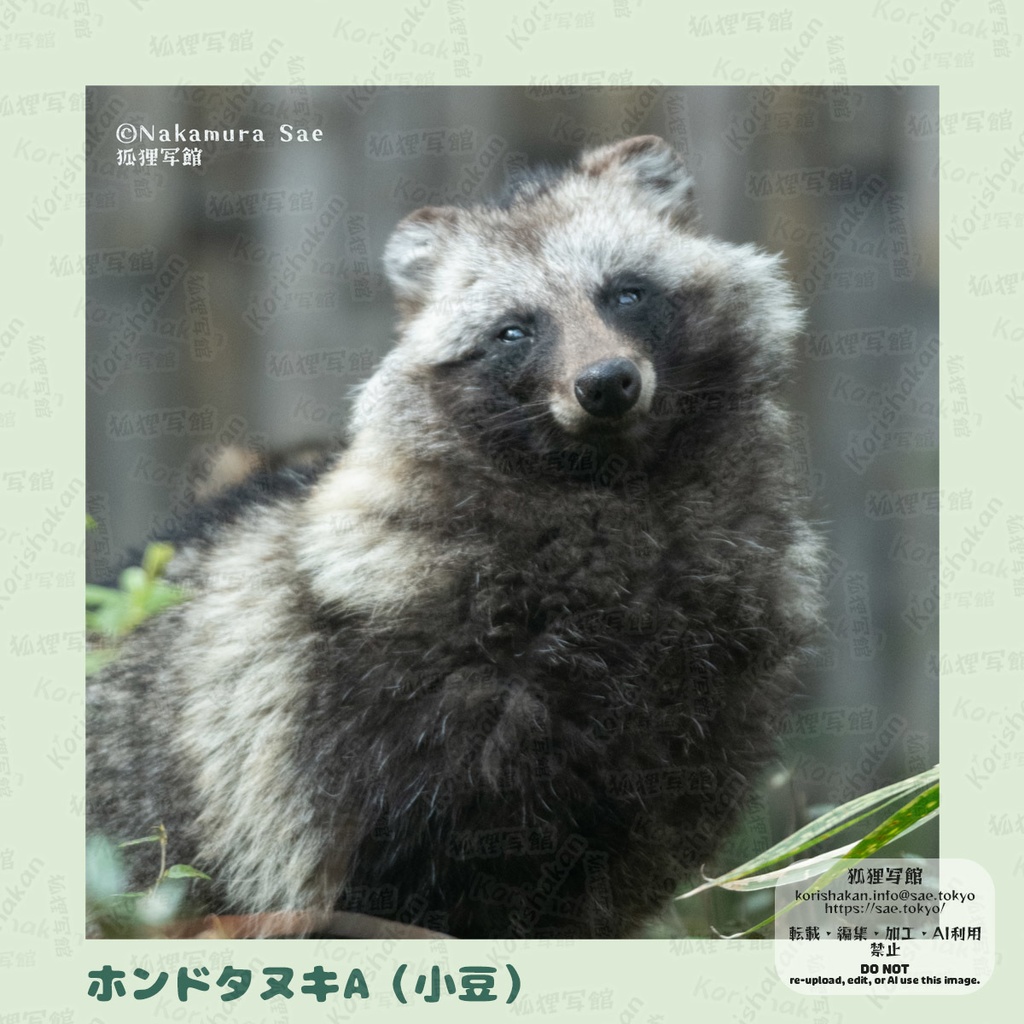 動物写真めがねふき(2023年ズーラシアフェス)