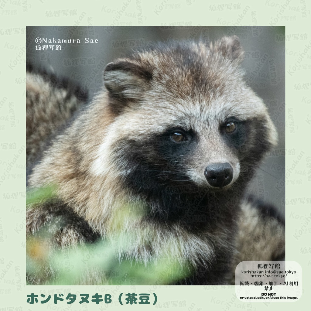 動物写真めがねふき(2023年ズーラシアフェス)