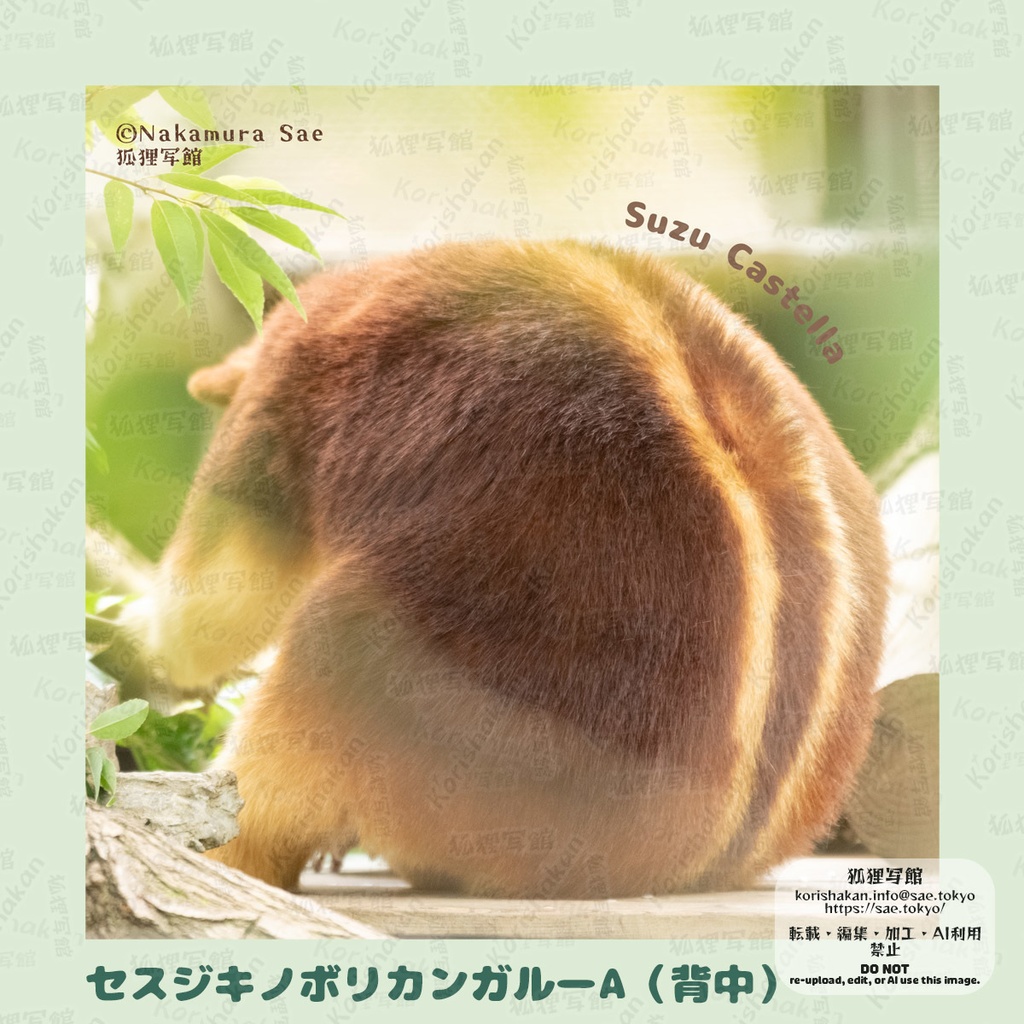 動物写真めがねふき(2023年ズーラシアフェス)