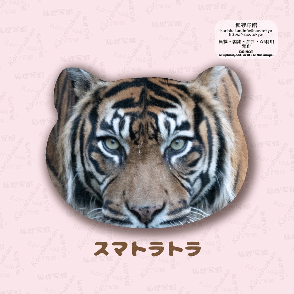 ねこみみ缶バッジ(キツネとネコ科)