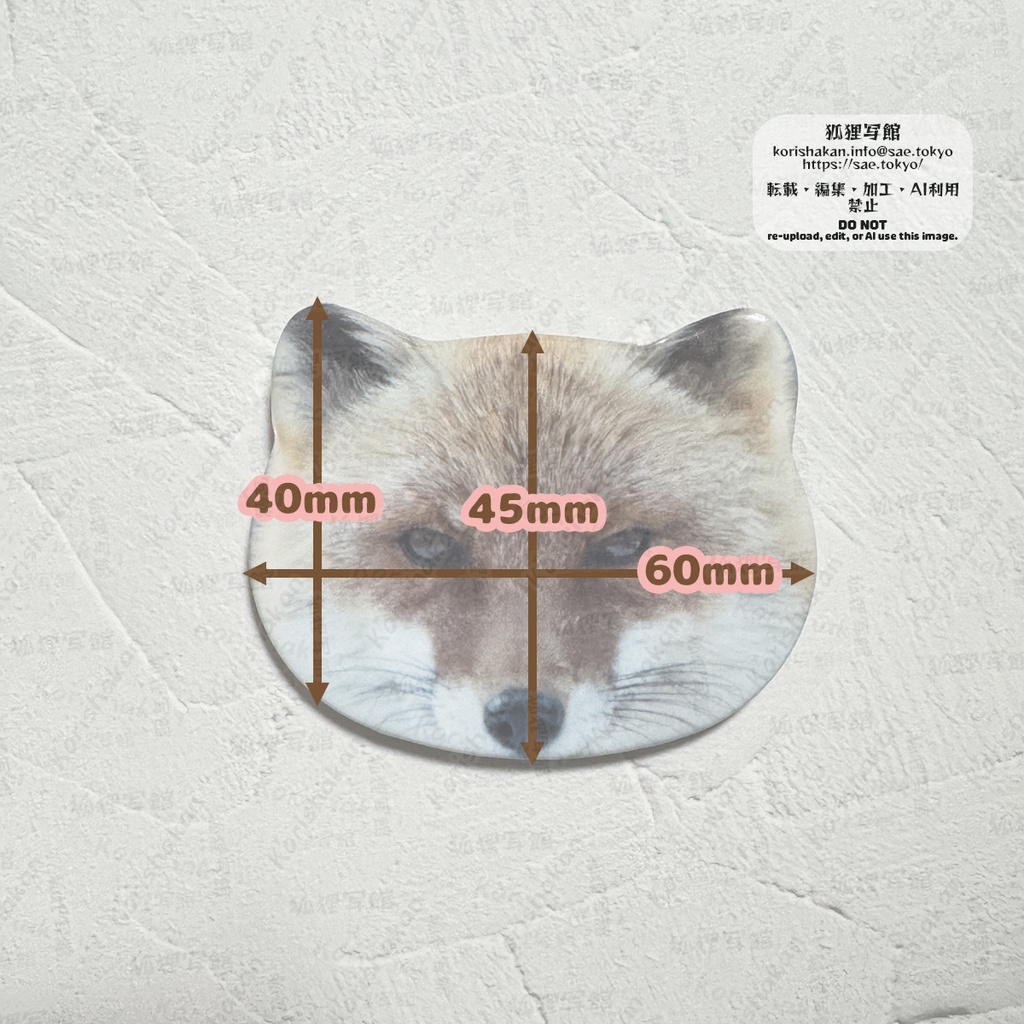 ねこみみ缶バッジ(キツネとネコ科)