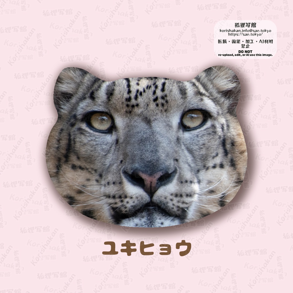 ねこみみ缶バッジ(キツネとネコ科)